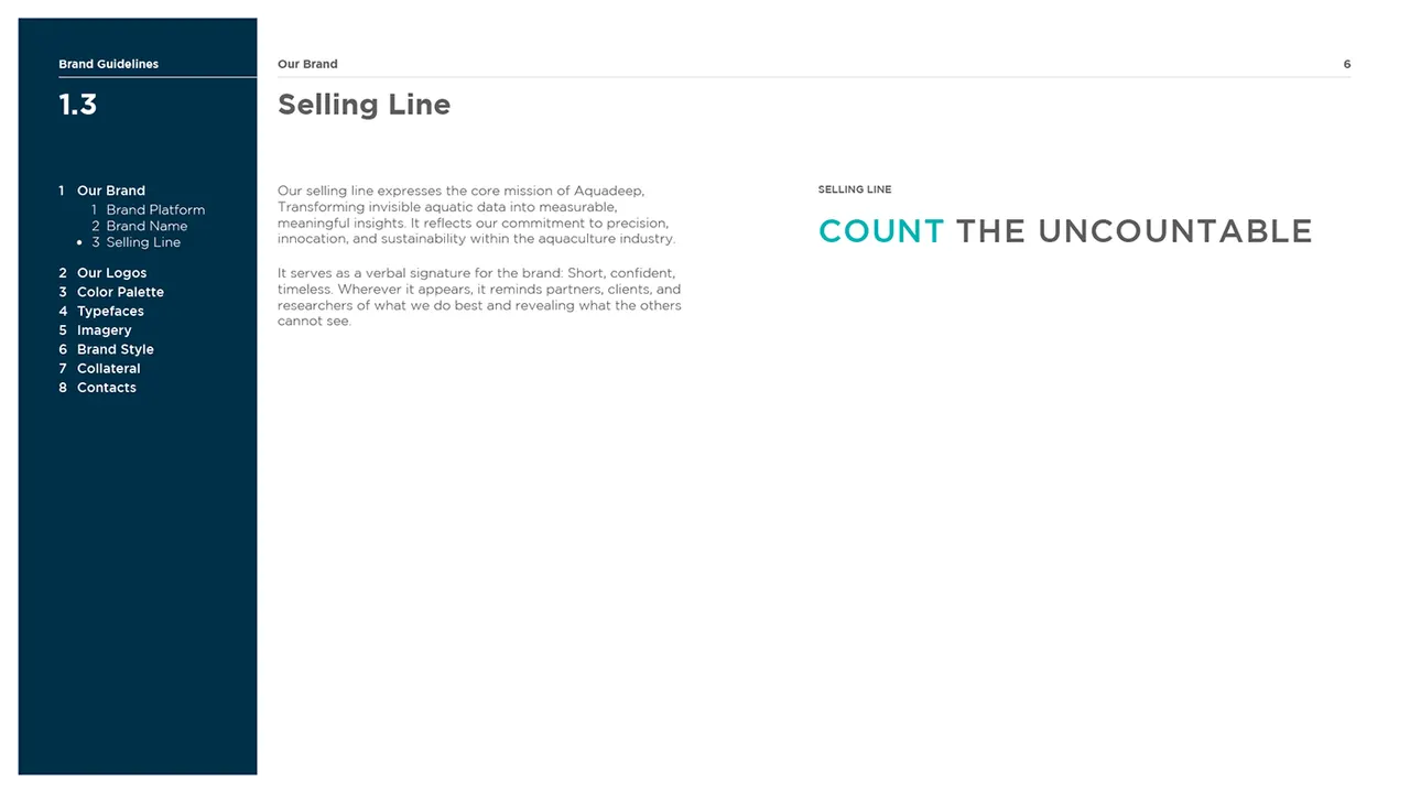 Guidelines page: the selling line Count the uncountable